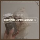 수아동물병원 | 강아지 피부영양제 추천｜가려움·피부트러블 잡는 고함량 영양제 내돈내산 후기