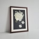 리헤어샤인 | W09 : : [리부케] 세컨샤인(secondshine) 진공 압화 액자 예약 후기