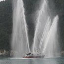 거제도국제펭귄수영축제 이미지