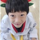 돌려차기 태권도장 이미지