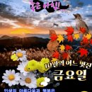 좋은글＞ 10월의 마지막날 아침에 문안인사드려요!🍁 이미지