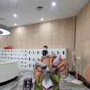 공룡박물관 이미지