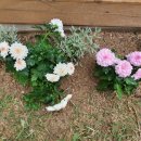 농협본점 이미지