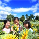 장세영농장 이미지