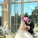 대전·충청 웨딩 소식 총정리 | 씨엘드포레·베리웨딩컨벤션·이나이스웨딩까지 따끈한 후기 모음