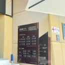 신장_어린이3호(꿈동산) | 진도 쏠비치 부대시설 이용기 2 : 인피니티풀