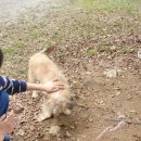 소망캠핑장 이미지