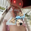 선릉바이오포톤