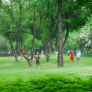 파크골프장1 이미지