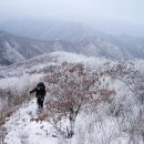 괘관산[掛冠山] 1252m 경남 함양 이미지