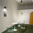 뉴욕애견 이미지