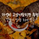 길냥이와 함께하는 | 고양이참치캔 추천 펫더맨 더캣츠 베로베로 이건못참치 길냥이 솔직 후기