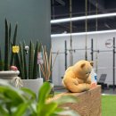 WOWM 이천 운동 아지트 | 경기도 여주시 WOWM 이천운동아지트, 영업시간, 위치, 가격