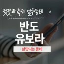 수선화메디칼
