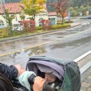 순동목장 이미지