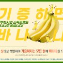 굿윌스토어함재양천점