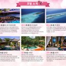 처럼풀빌라 하와이처럼 이미지