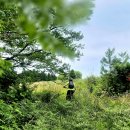 천마목장 이미지