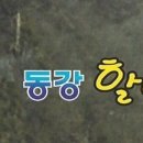 정선군 종합관광안내소 이미지