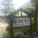 몽샤우 | 평창 흥정계곡 펜션, 계곡을 프라이빗하게 즐길 수 있는 꿀팁(ft. 몽샤우펜션)