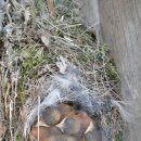 두메농장 이미지