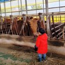 윤슬농장 이미지