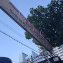 진하인터내셔널 | 베트남 나트랑 | 시내에서 공항까지 뉴랜드버스(닷모이) 공항버스 이용 및 깜란공항 출국 꿀팁