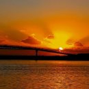 한여름 밤 낭만콘서트 이미지