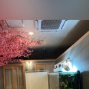 더 수