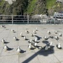 천보수산 이미지