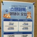 스탠퍼독 이미지