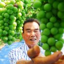 한양농장 이미지