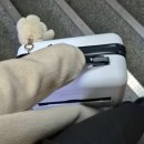 LG전자 베스트샵 서포터즈 1기 발대식 후기 (면접팁)