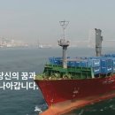해운업계 2위 장금상선 공통질문으로 이루어지는 면접 평이한 편