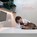 케어덴 동물치과&내과병원 이미지