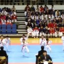 신명태권도 이미지