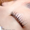 모숲 이미지