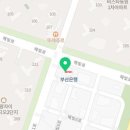 더 퍼스트 피티 스튜디오 이미지