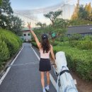 에스페란사골프클럽 이미지