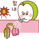 동네수산물 이미지