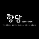 향담