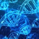 DNA 프로그래밍을 이용한 바이오 로봇
