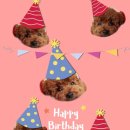 이마트 대전터미널점 몰리스 이미지