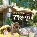 꽃길만걷개 이미지