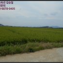 장전천1 이미지