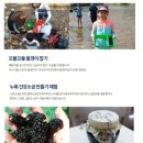 오디건강체험마을 이미지