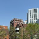 나비아이한의원 | 광주 골반통증 동신대한방병원 방문 치료 후기