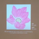 김홍주 | [전시관람후기] 김홍주 개인전 &lt;김홍주의 드로잉&gt; @성곡미술관