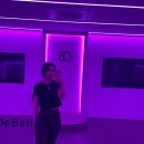 (주)라임코어 | 마곡 바레 운동 드바레 (De barre) 후기 /요즘 인스타 hot한 운동 직접 체험!
