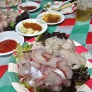 마이스터케이 | 촌캉스 크리스마스 파티 준비 후기｜롯데마트·다이소 연말파티 장보기